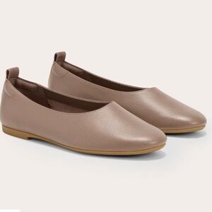 Everlane Mocha Brown‎ Leather The Day Glove Flat in Size 5.5